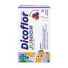 Dicoflor Junior, saszetki z proszkiem o smaku owoców leśnych, 10 sztuk